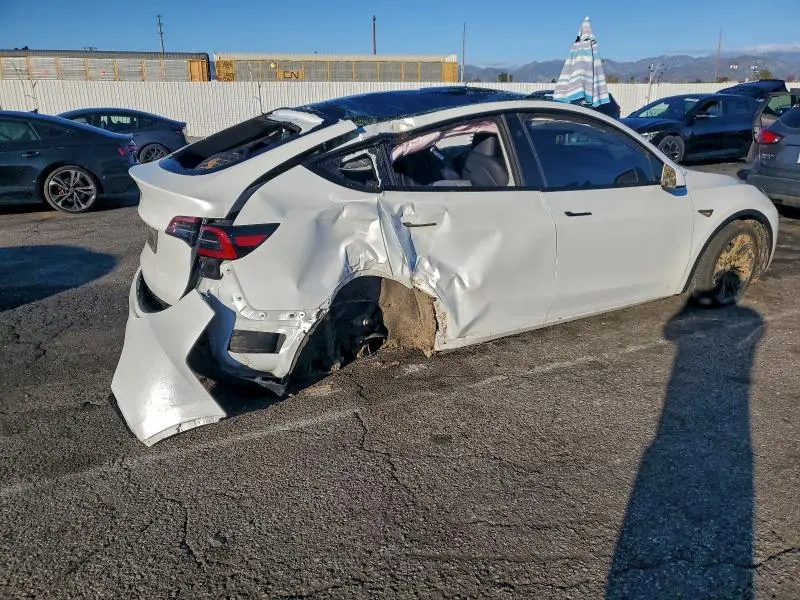 2025 TESLA MODEL Y   