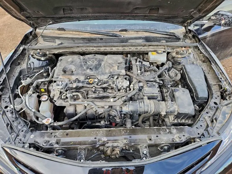 2019 TOYOTA CAMRY HYBRID  