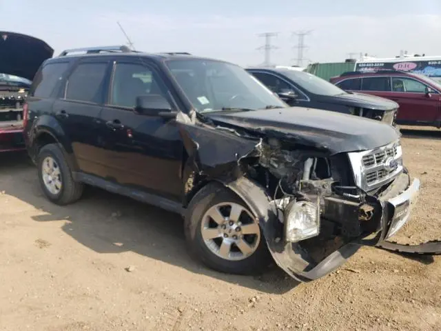 2010 FORD ESCAPE LIMITED  