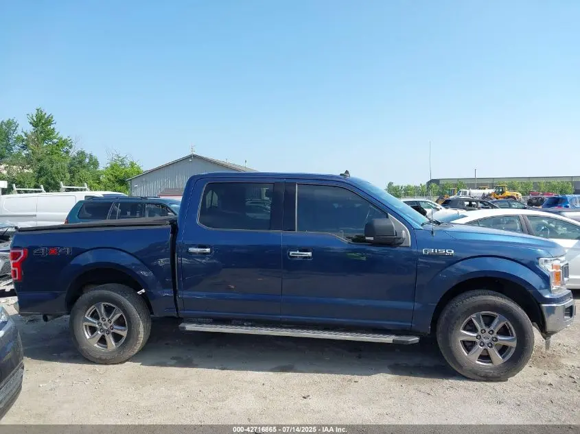 2019 FORD F-150 XLT