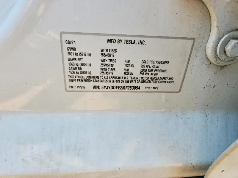 2021 TESLA MODEL Y   