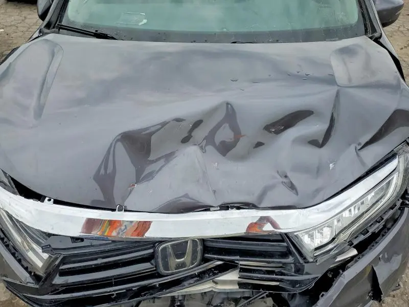2023 HONDA ODYSSEY EXL  