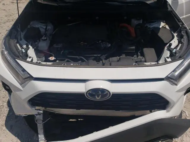 2024 TOYOTA RAV4 WOODLAND EDITION  