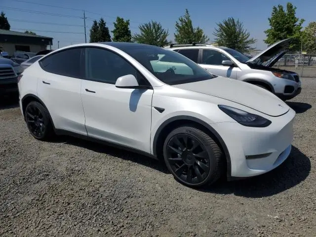 2020 TESLA MODEL Y   