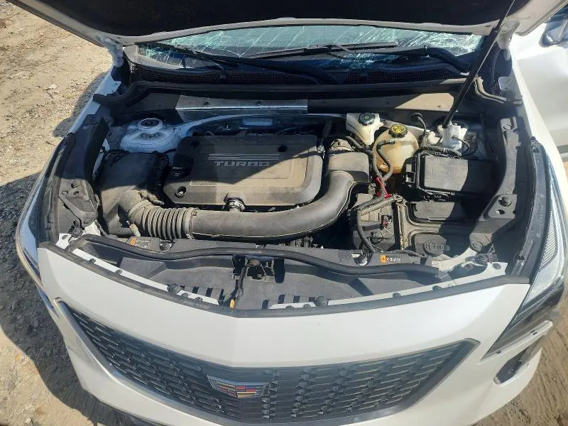 2019 CADILLAC XT4 PREMIUM LUXURY  