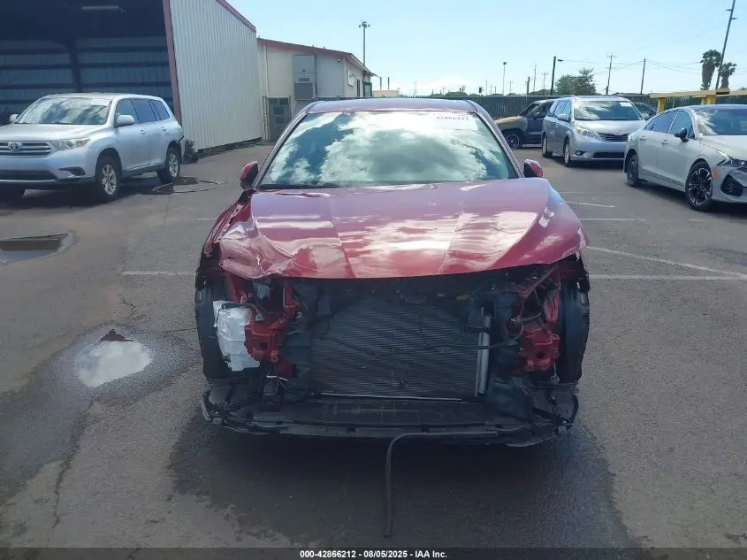 2019 TOYOTA CAMRY XLE