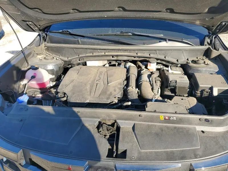 2024 HYUNDAI SANTA CRUZ NIGHT  