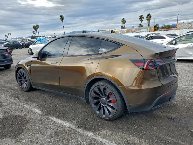2025 TESLA MODEL Y   