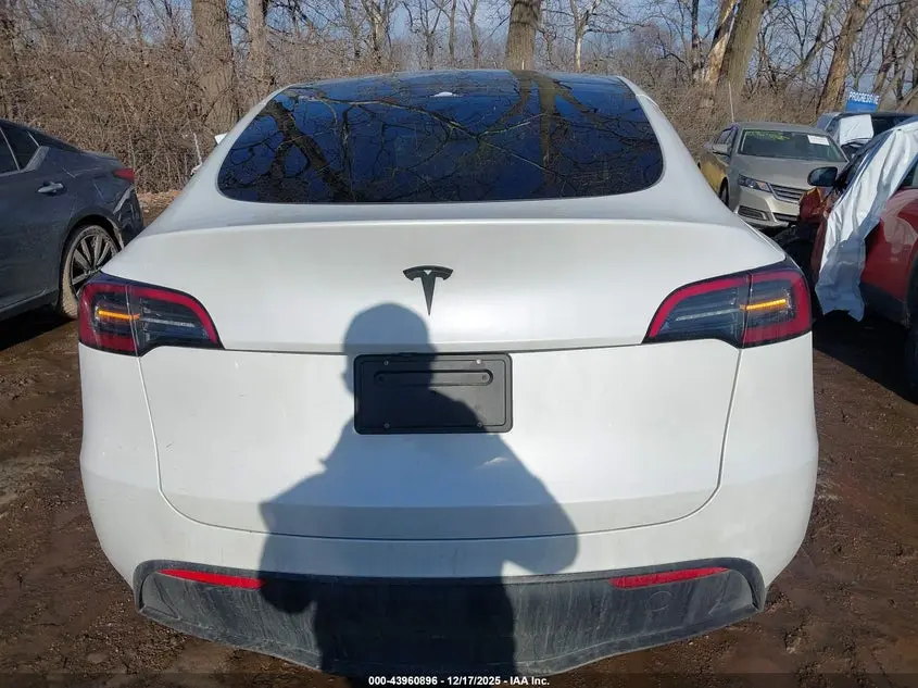 2024 TESLA MODEL Y RWD