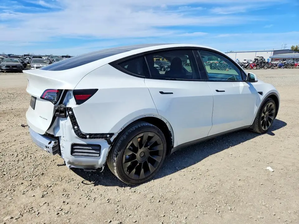 2021 TESLA MODEL Y   
