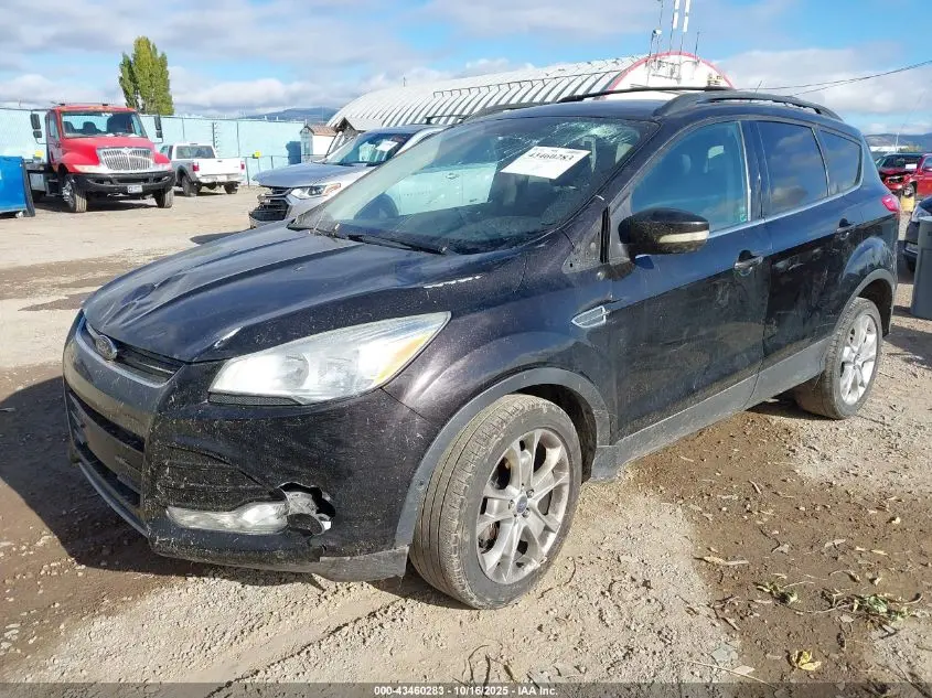 2013 FORD ESCAPE SEL