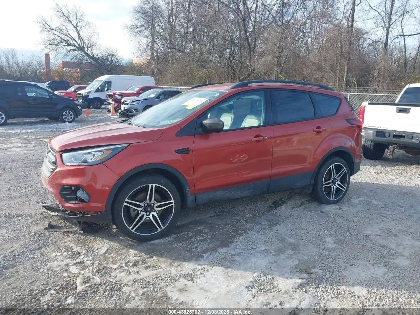 2019 FORD ESCAPE SEL