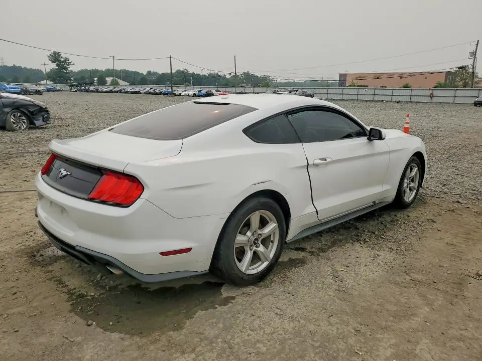 2019 FORD MUSTANG   