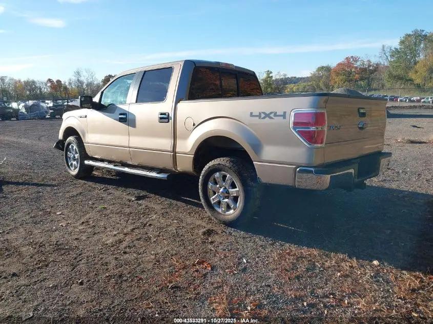 2013 FORD F-150 XLT