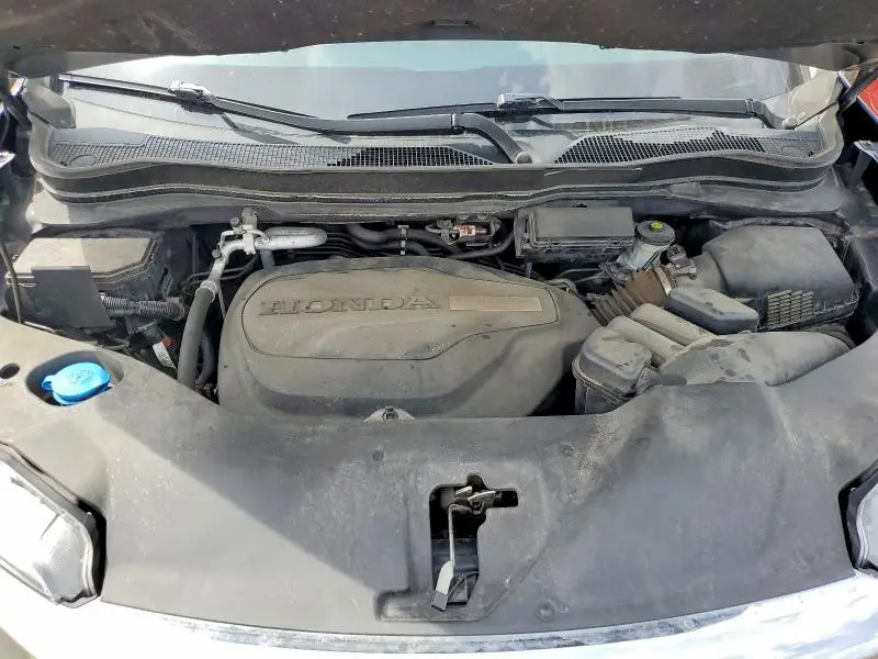 2019 HONDA PILOT EXL  