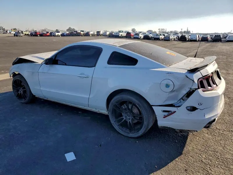 2014 FORD MUSTANG   