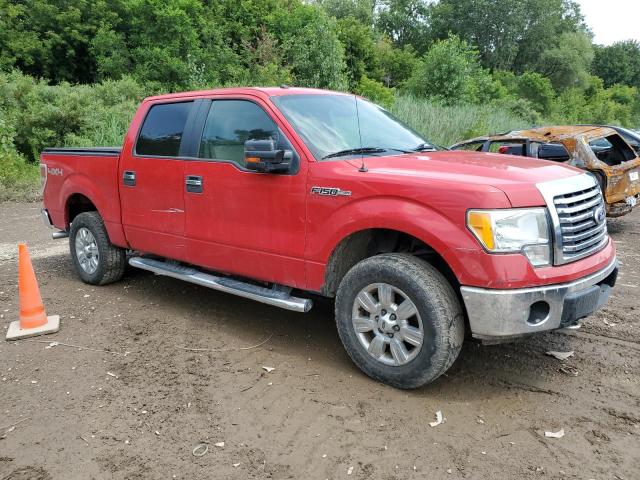 2010 FORD F150 SUPERCREW