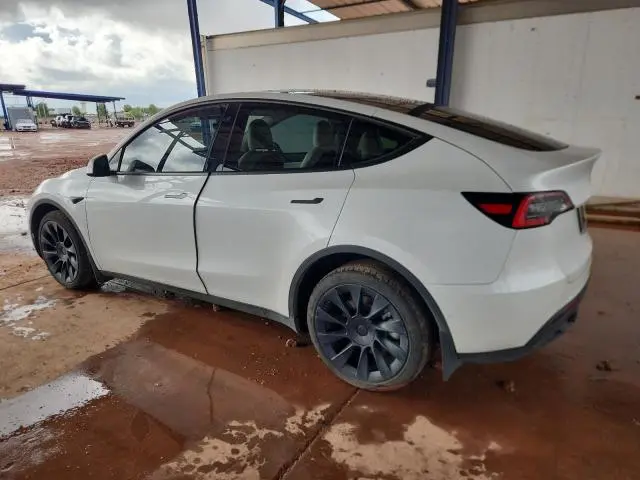 2020 TESLA MODEL Y   