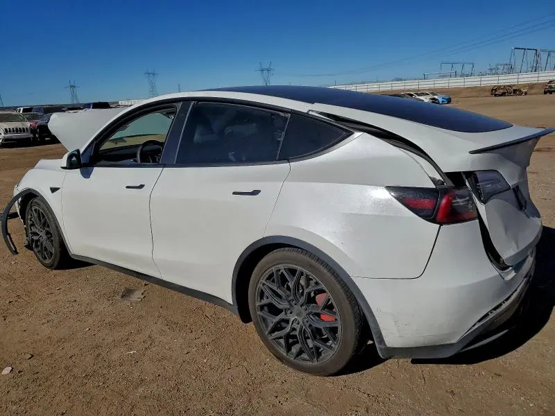 2021 TESLA MODEL Y   