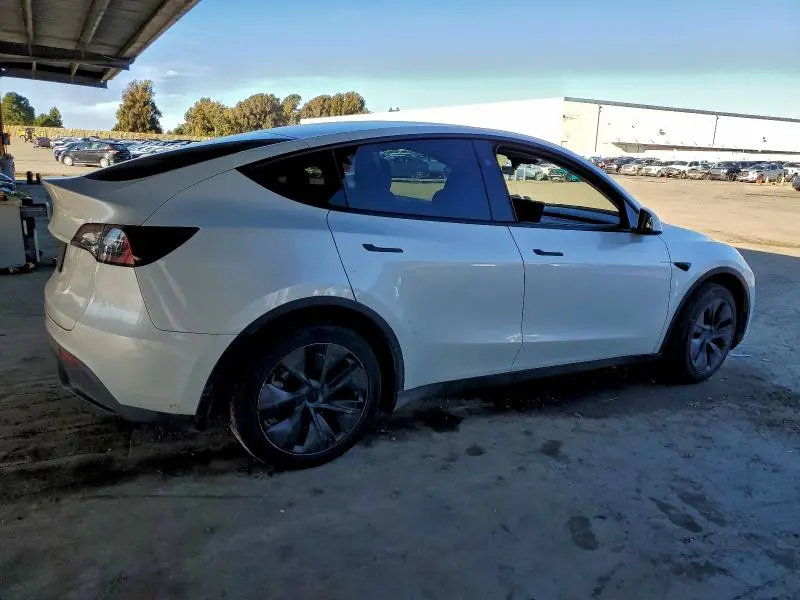 2025 TESLA MODEL Y   