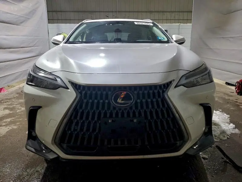 2025 LEXUS NX 350 BASE  