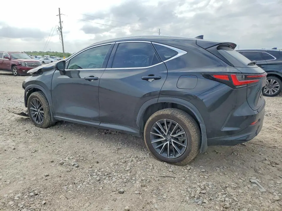 2024 LEXUS NX 350 LUXURY  