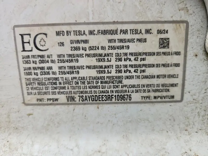 2024 TESLA MODEL Y   