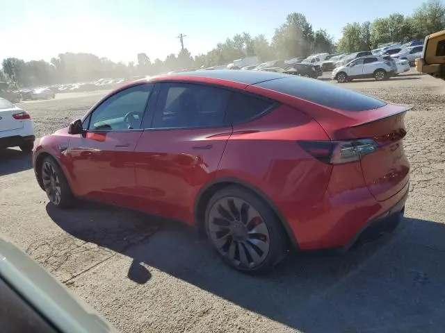 2020 TESLA MODEL Y   