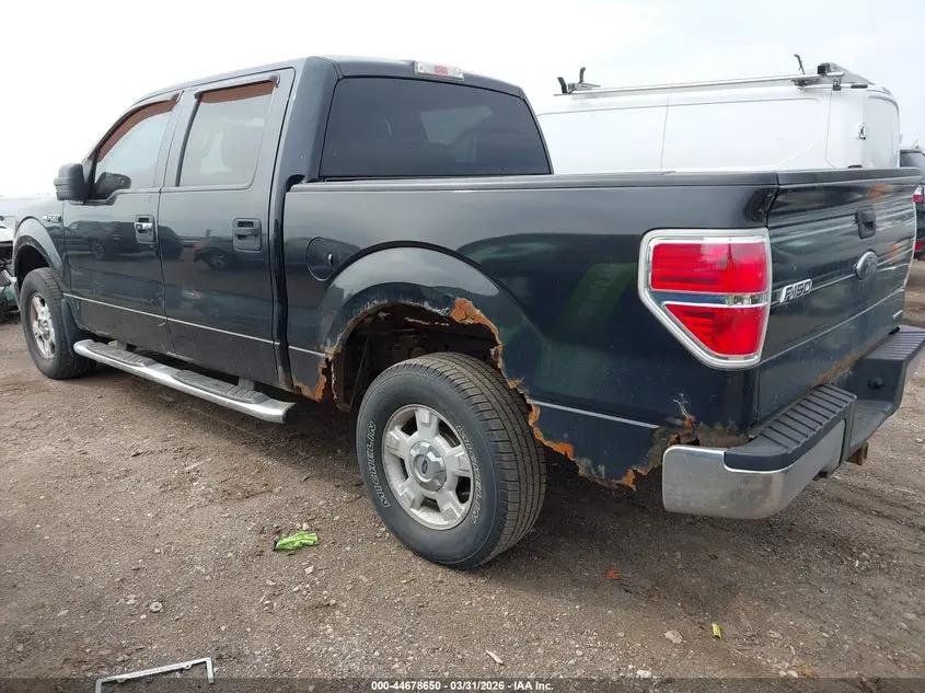 2013 FORD F-150 XLT