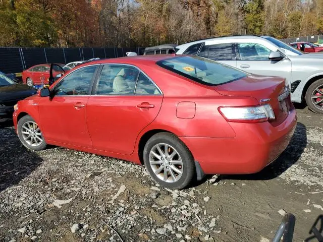 2011 TOYOTA CAMRY HYBRID  