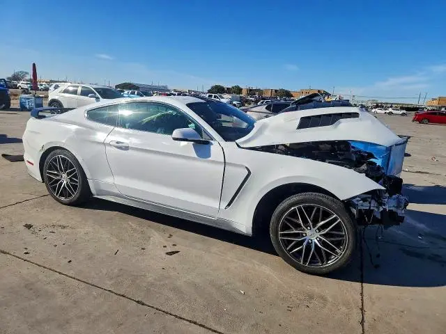 2019 FORD MUSTANG   