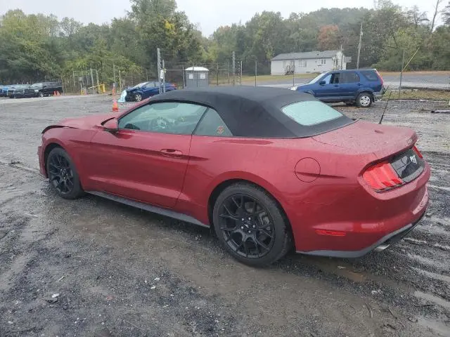 2019 FORD MUSTANG   
