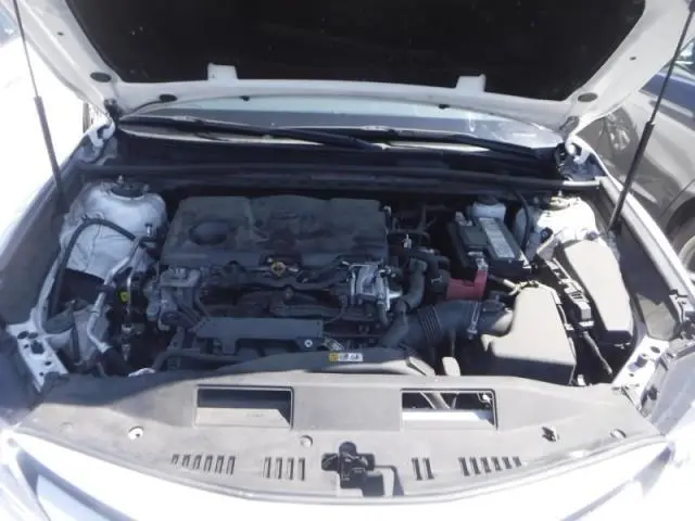 2019 TOYOTA CAMRY LE/SE/XLE/L