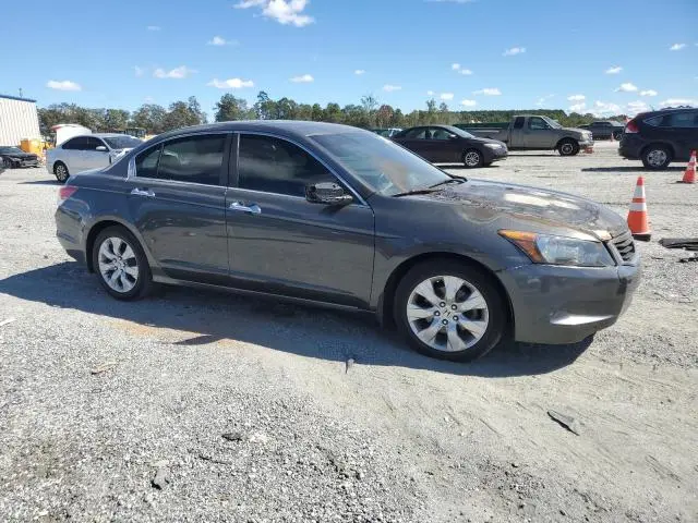 2010 HONDA ACCORD EXL  