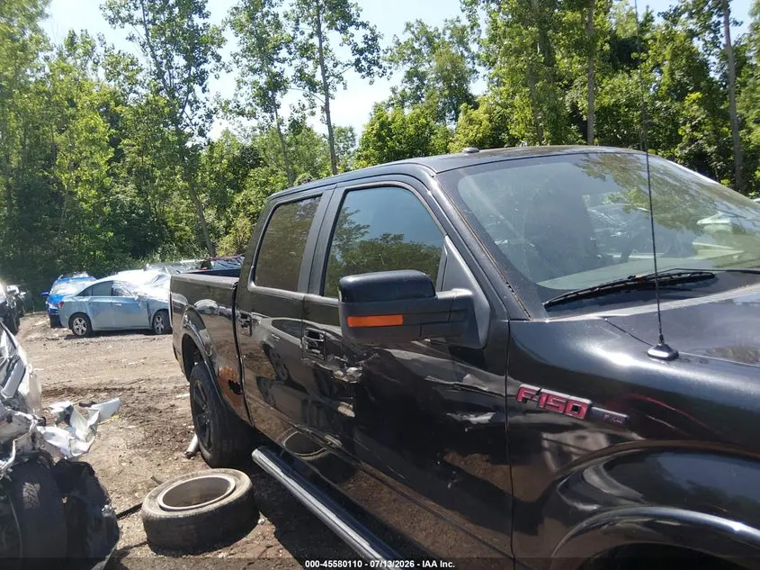 2013 FORD F-150 FX4