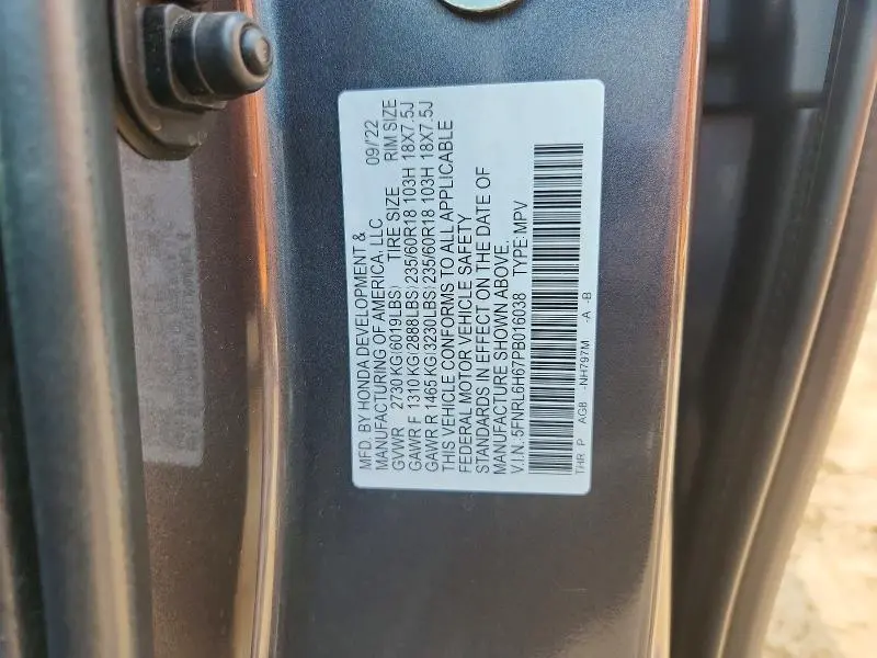 2023 HONDA ODYSSEY EXL  
