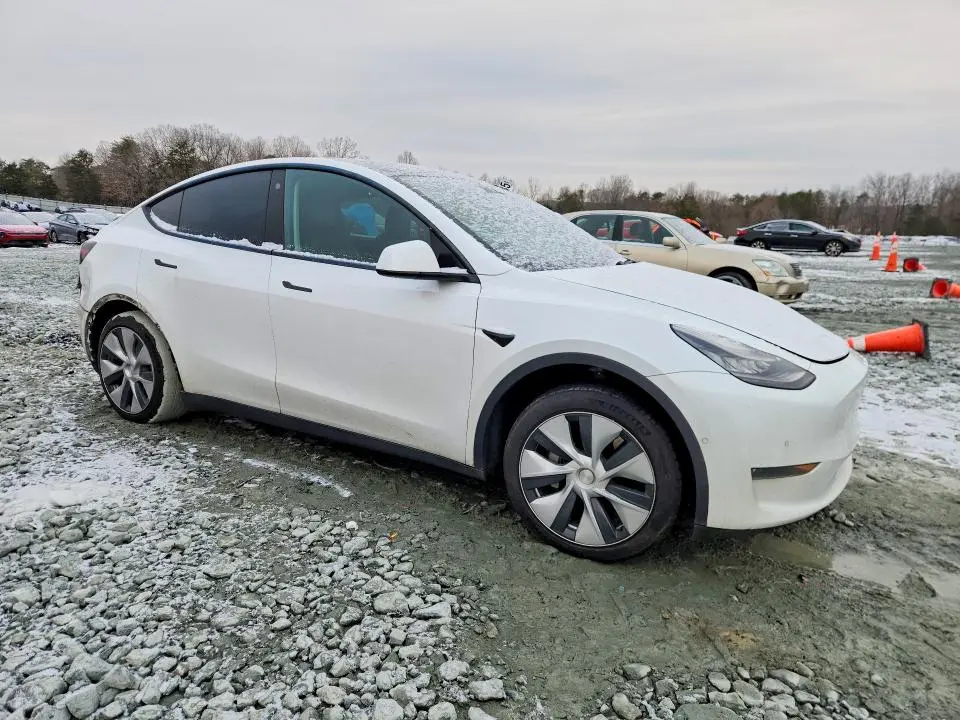 2021 TESLA MODEL Y   
