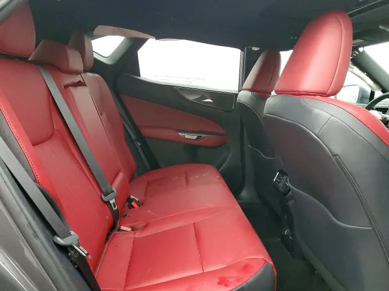 2024 LEXUS NX   