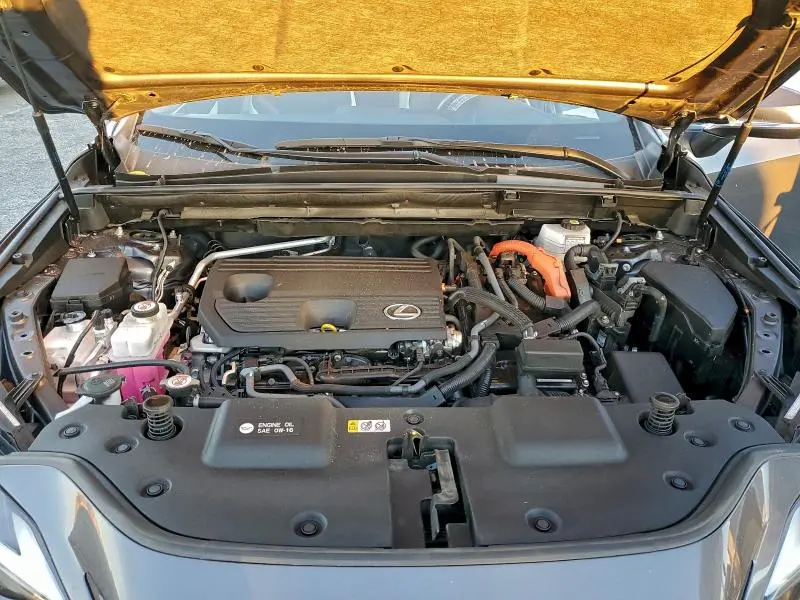 2024 LEXUS NX 350H BASE  