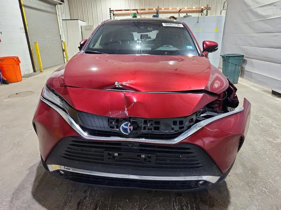 2024 TOYOTA VENZA LIMITED  