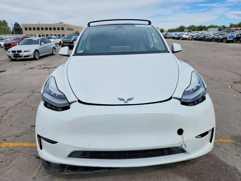 2020 TESLA MODEL Y   