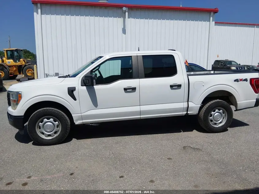 2021 FORD F-150 XL/XLT