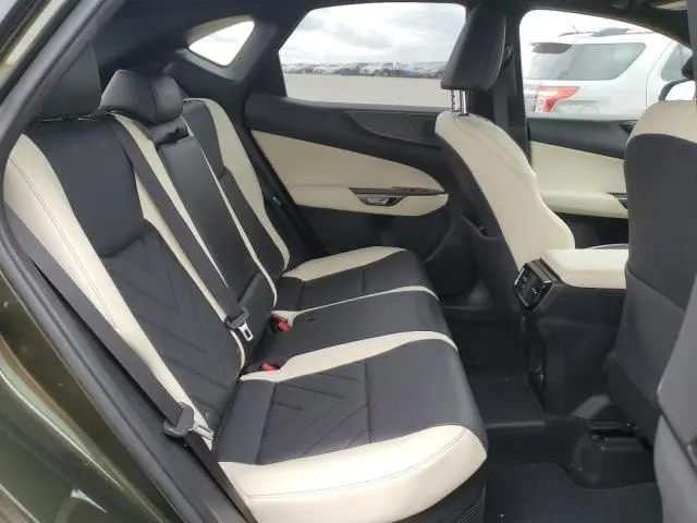 2024 LEXUS NX 450H LUXURY  