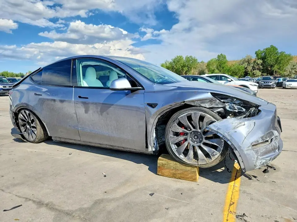 2024 TESLA MODEL Y   