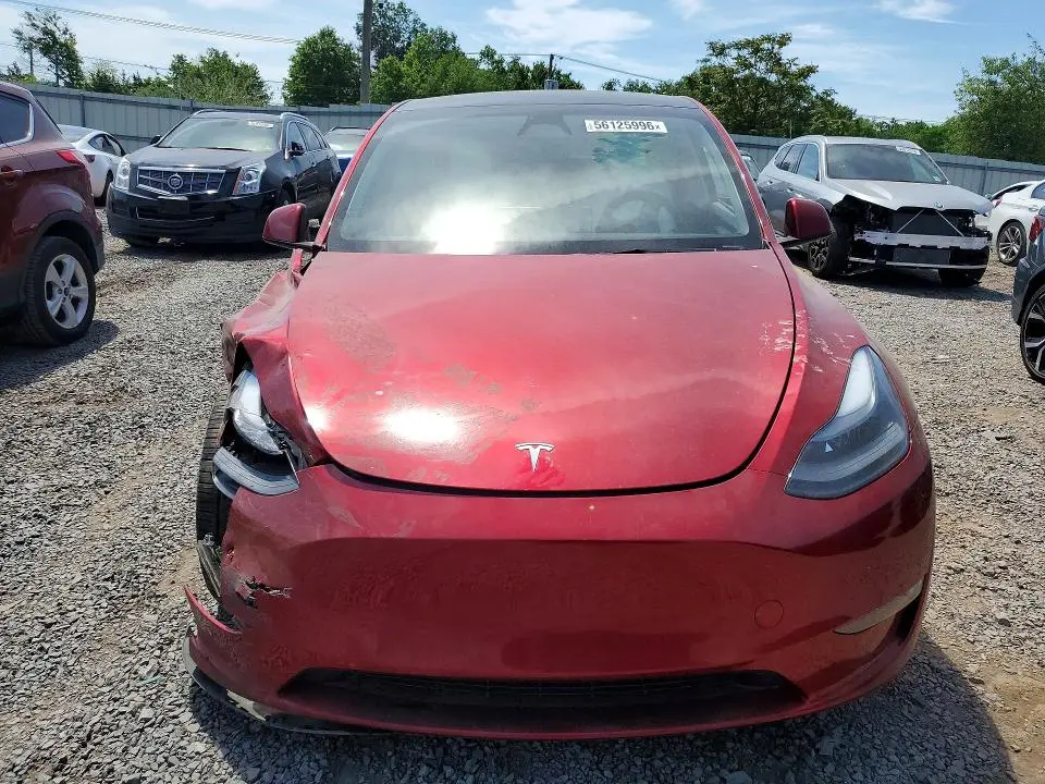 2024 TESLA MODEL Y   