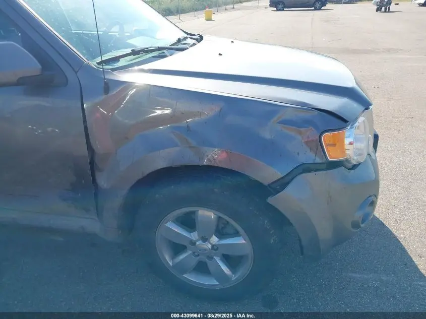 2010 FORD ESCAPE LIMITED