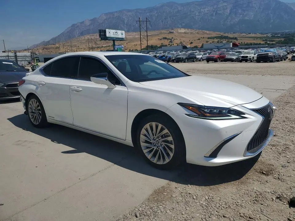2019 LEXUS ES 300H  