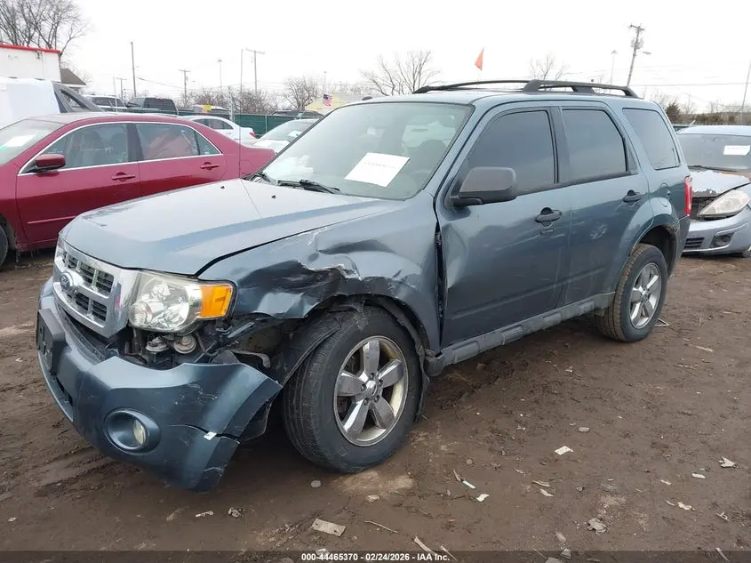 2011 FORD ESCAPE XLT