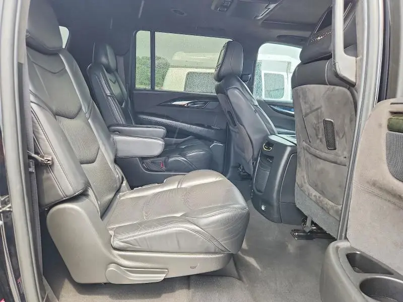2019 CADILLAC ESCALADE ESV PLATINUM  