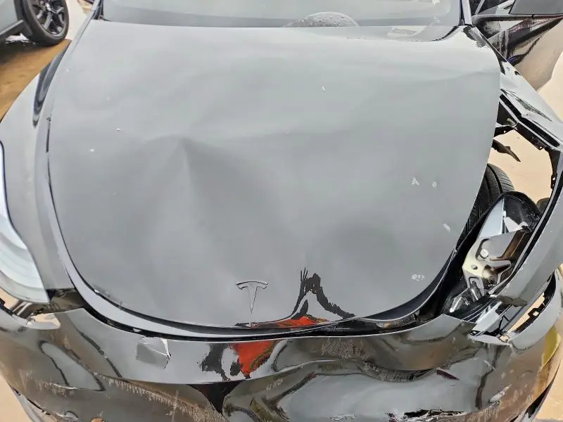 2025 TESLA MODEL Y   